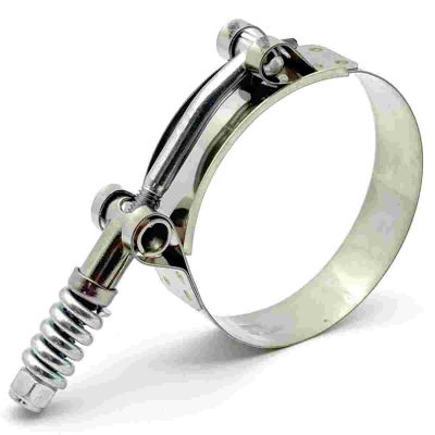 Spring loaded hose clamp