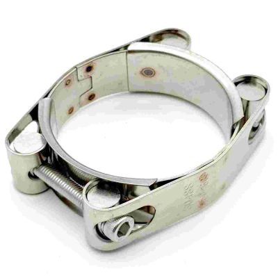 Double bolt clamp
