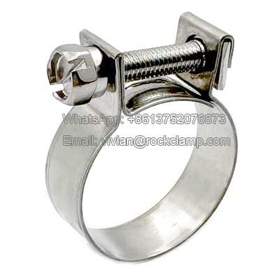 Stainless steel fuel injection hose clamps