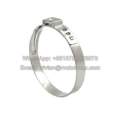 Ear Hose Clamp Supplier 